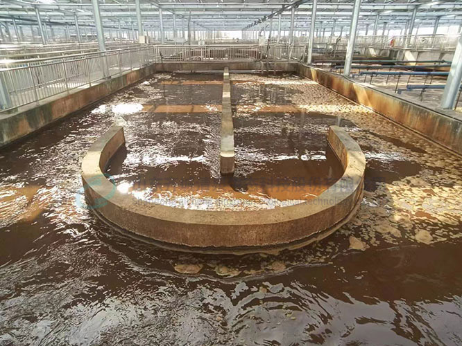 汙水處（chù）理（lǐ）廠乙酸鈉案（àn）例