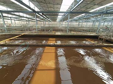 汙水處理過程為什麽要加碳源,常用碳源有哪些?