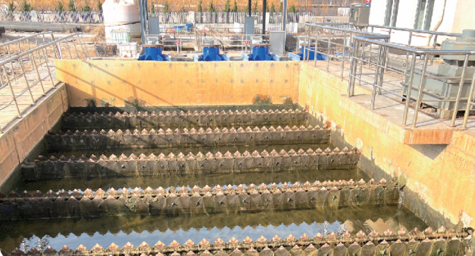 在山東碳源係列產品的需求如何?