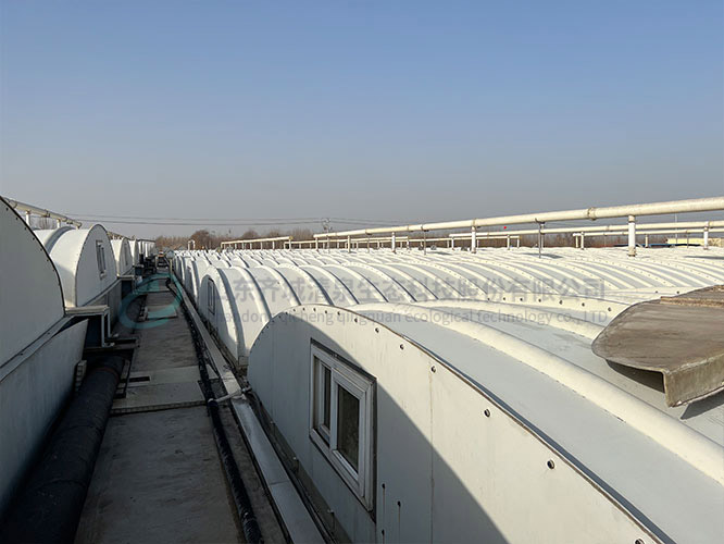 碳源在汙水處（chù）理中（zhōng）的作用